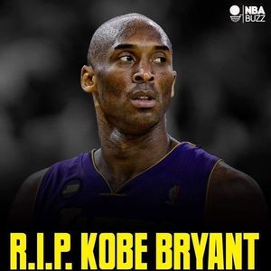 Meet your Posher, Sammy